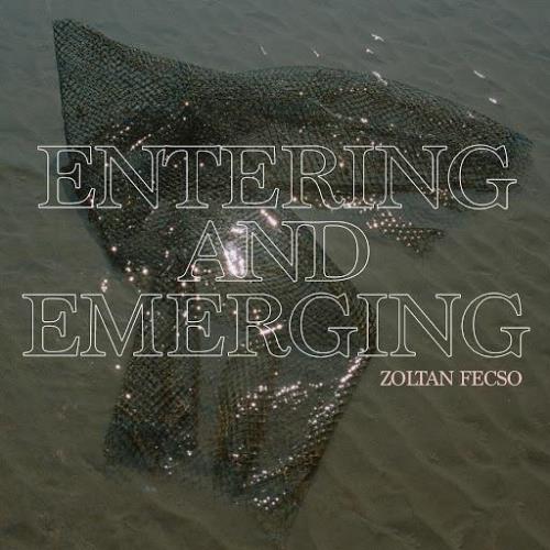 Zoltan Fecso — Entering And Emerging (2020)