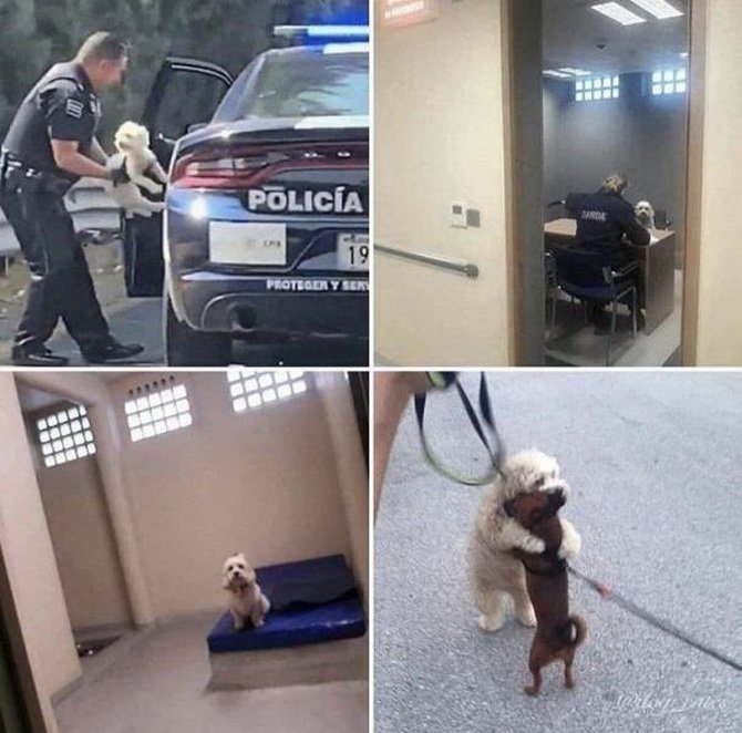 mop2s8uh.jpg