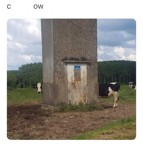 obun5qko.jpg