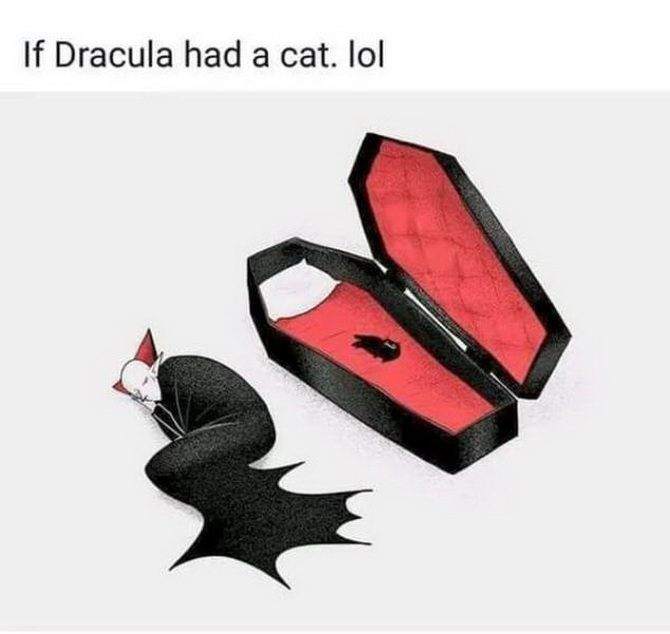 scfnkgmh.jpg