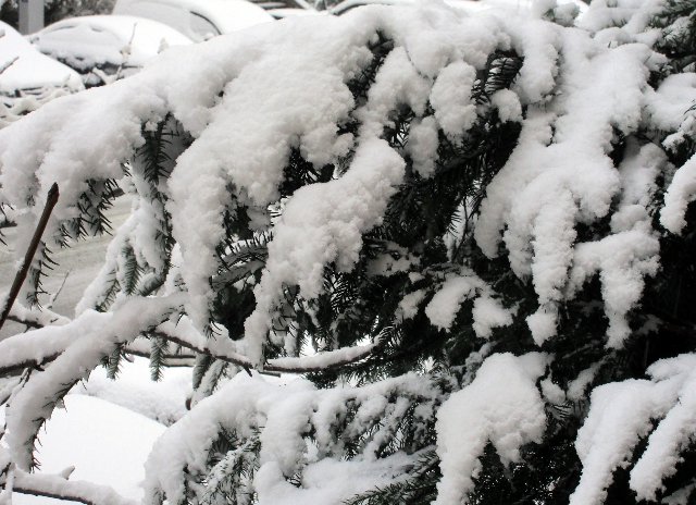 https://s12.directupload.net/images/210106/ydyxvskn.jpg