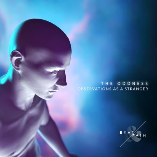 Jamie Stevens — Observations As A Stranger (2020)