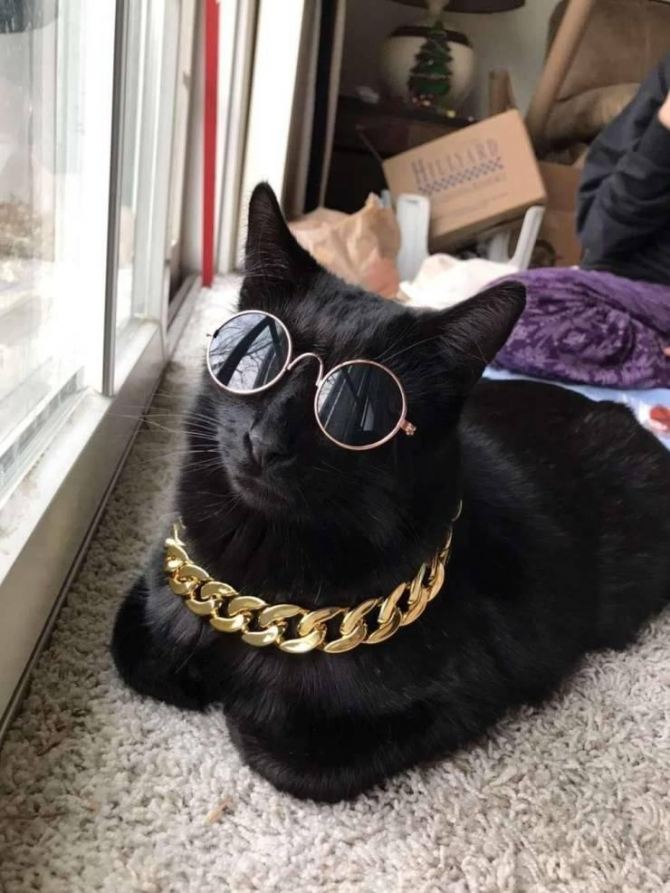 wh8lshty.jpg