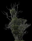 PHOTOBASH - DECIDUOUS TREES (PNG)