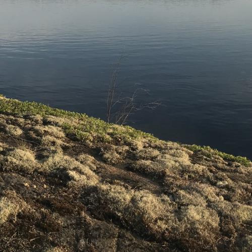 Aleksi Perala — Midnight Sun 2 B (2021)