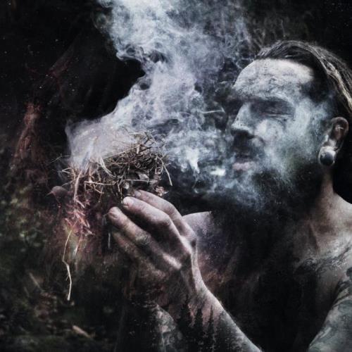 Old Growth — Mossweaver (2021) FLAC