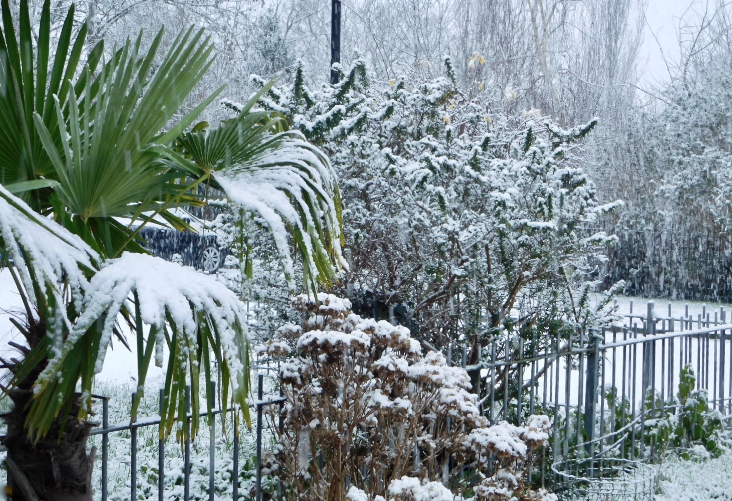 https://s12.directupload.net/images/210124/aayat3sn.jpg