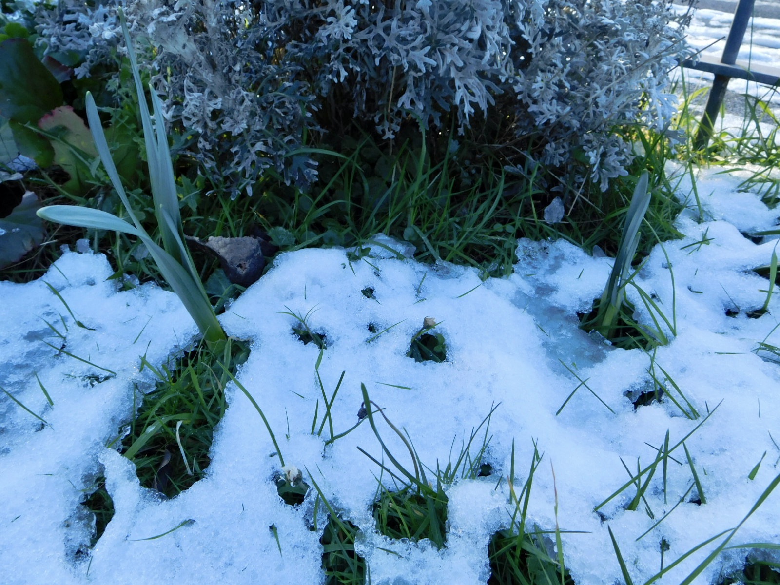 https://s12.directupload.net/images/210125/8w2u7xk7.jpg