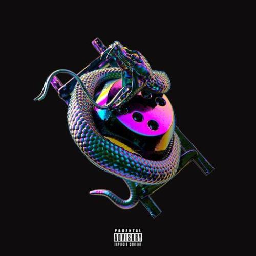 Chip — Snakes & Ladders (2021)