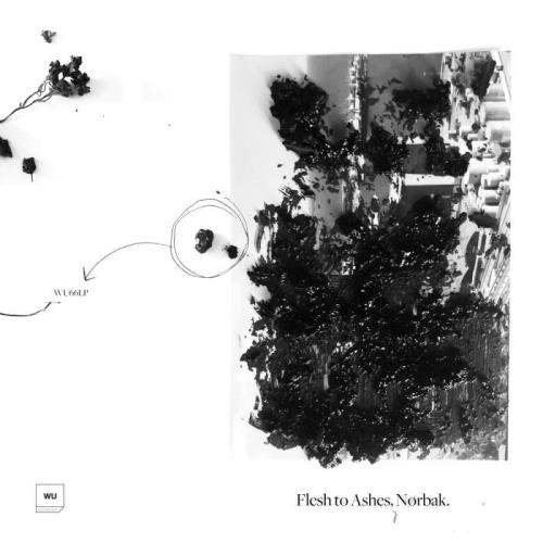 NORBAK — Flesh To Ashes LP (2021)