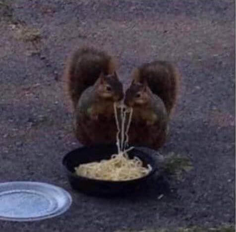 n7ykkwkx.jpg
