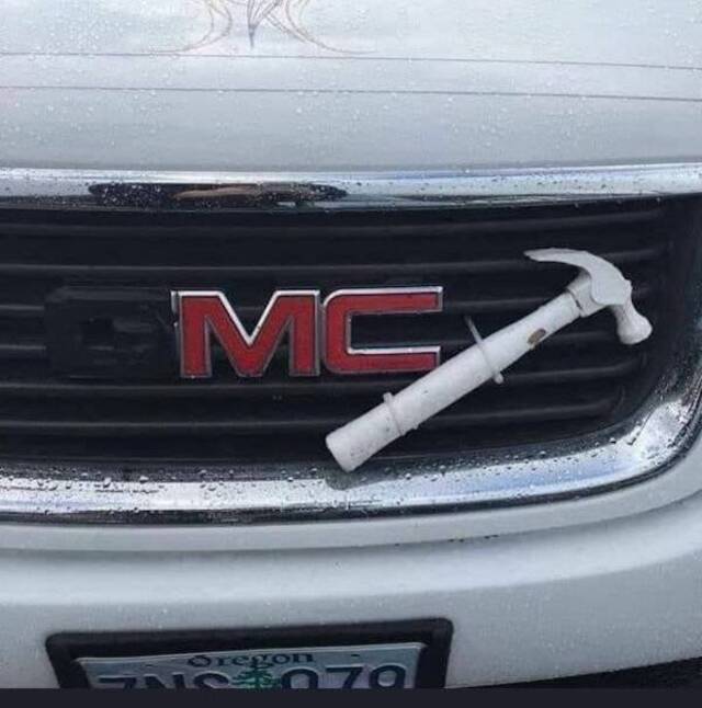 msnihz2q.jpg