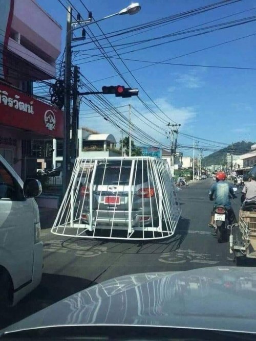 r6ki8koh.jpg