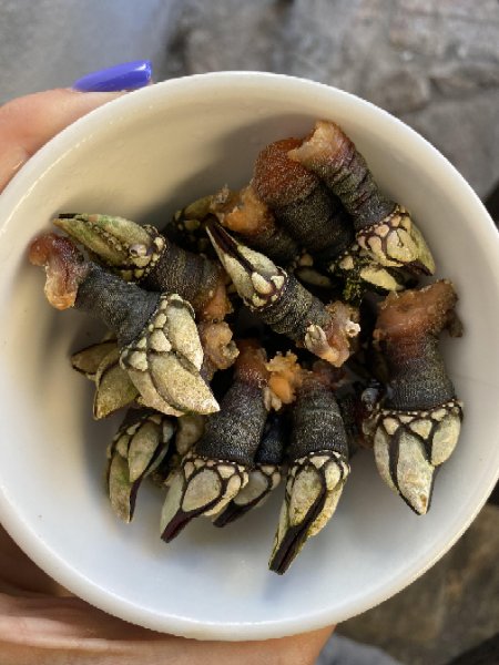 https://s12.directupload.net/images/user/200815/2ccgkhai.jpg