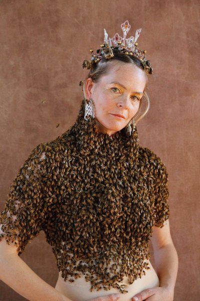 https://s12.directupload.net/images/user/201105/hisot4cc.jpg