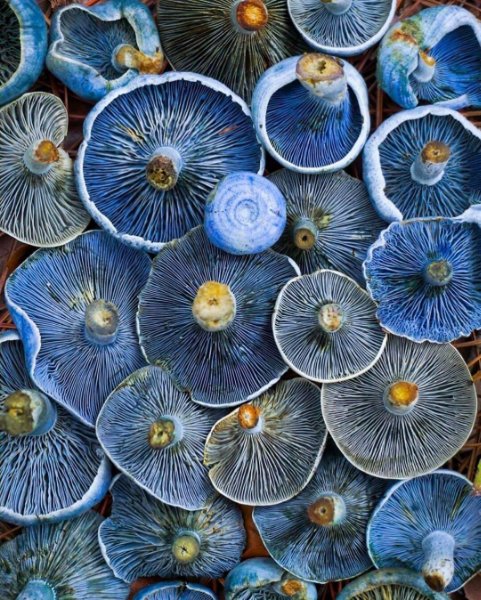 https://s12.directupload.net/images/user/201105/qizdp28o.jpg