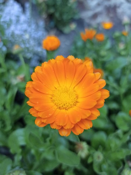 https://s12.directupload.net/images/user/201107/pv4fonpq.jpg